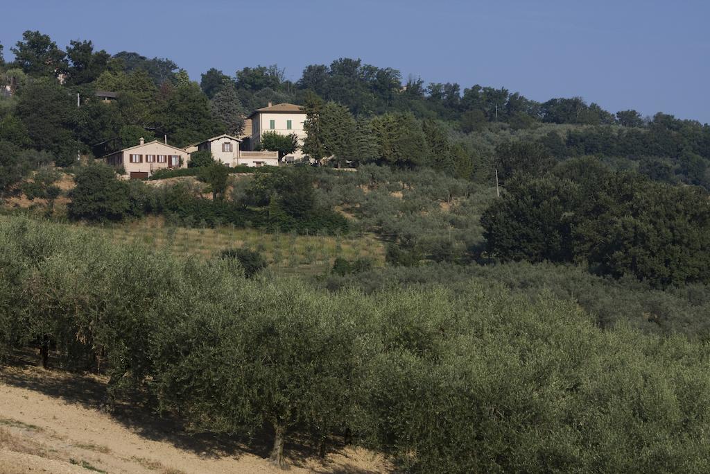 Agriturismo Il Girasole Montefalco Exterior photo