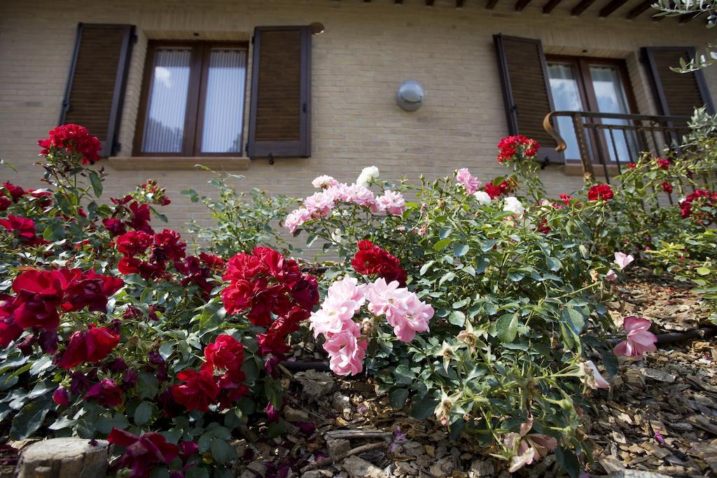 Agriturismo Il Girasole Montefalco Room photo