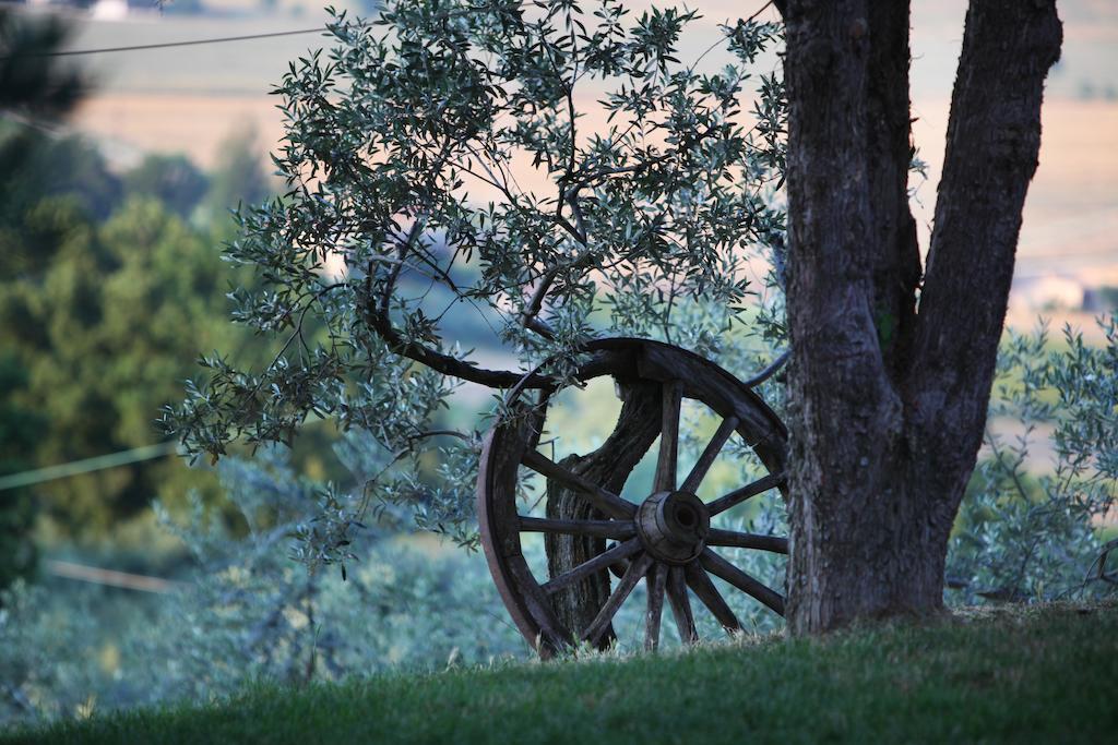 Agriturismo Il Girasole Montefalco Exterior photo